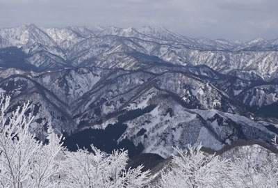 DSC08204.jpg