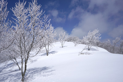 DSC08201.jpg