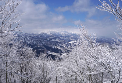 DSC08193.jpg