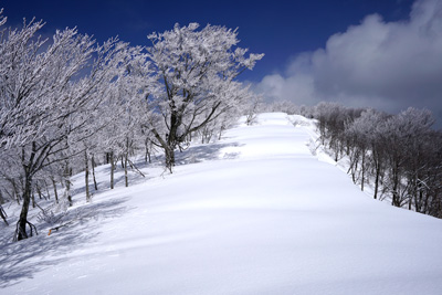 DSC08191.jpg