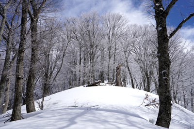 DSC08133.jpg
