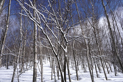 DSC08111.jpg
