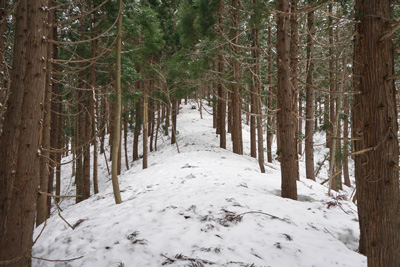 DSC08093.jpg