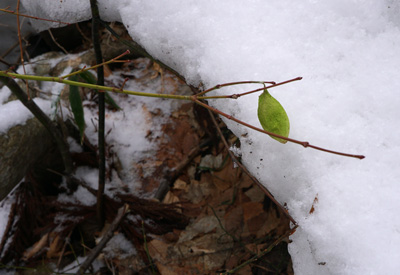 DSC08092.jpg
