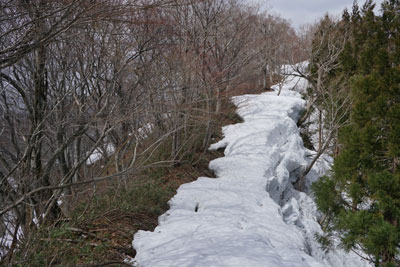 DSC08399.jpg