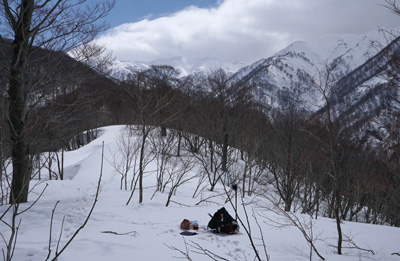 DSC08385.jpg