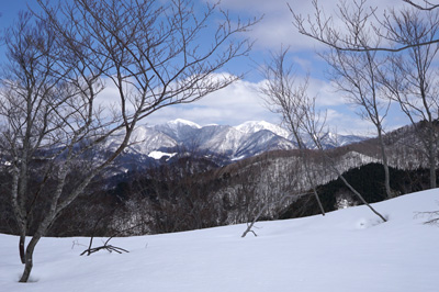 DSC08377.jpg