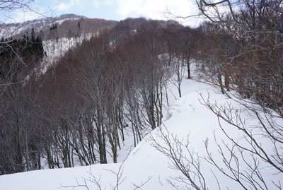 DSC08364.jpg