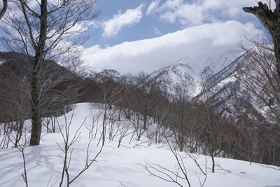 DSC08354.jpg