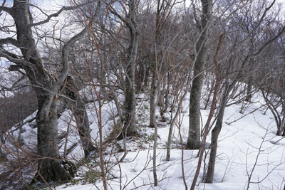 DSC08326.jpg