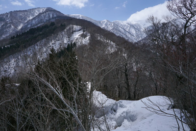 DSC08308.jpg