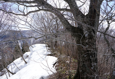 DSC08298.jpg