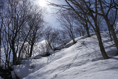 DSC08286.jpg