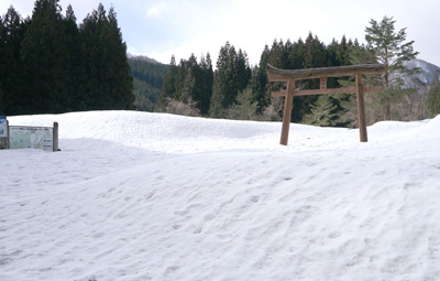 DSC08233.jpg
