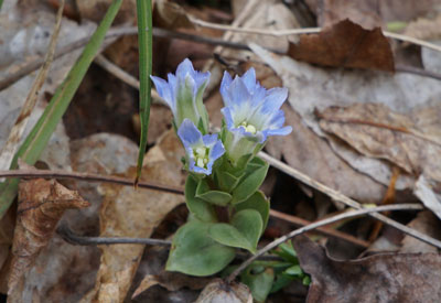 DSC09331.jpg