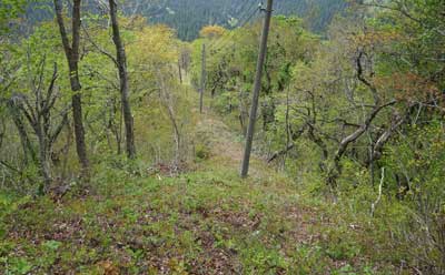 DSC09327.jpg
