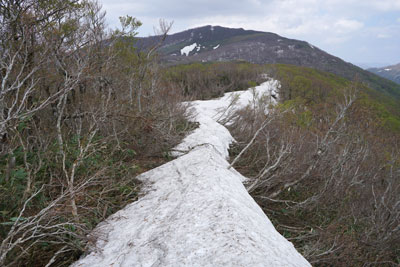 DSC09308.jpg