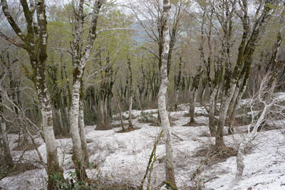 DSC09306.jpg