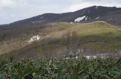 DSC09295.jpg