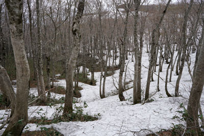DSC09265.jpg