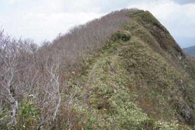 DSC09241.jpg