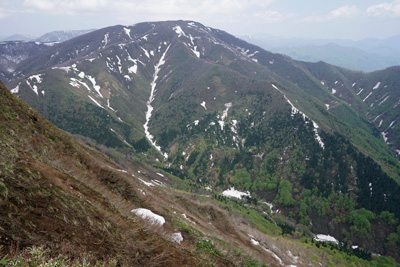 DSC09233.jpg