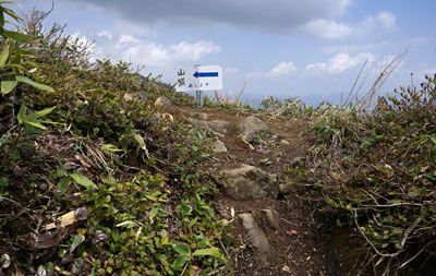 DSC09231.jpg