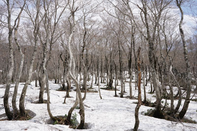 DSC09217.jpg