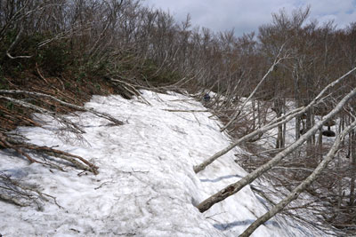DSC09215.jpg