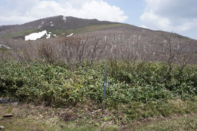 DSC09193.jpg