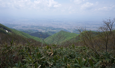 DSC09185.jpg