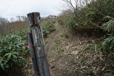 DSC09183.jpg