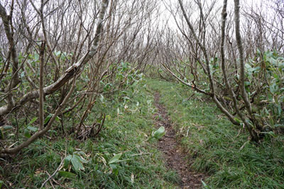 DSC09181.jpg