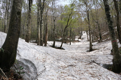 DSC09175.jpg