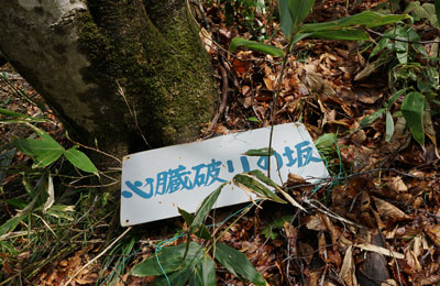 DSC09166.jpg