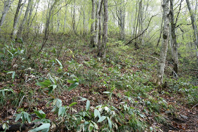 DSC09160.jpg
