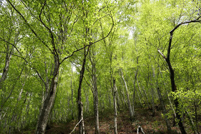 DSC09154.jpg