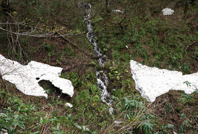 DSC09143.jpg