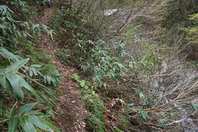 DSC09142.jpg