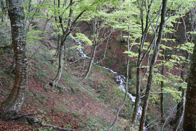 DSC09127.jpg