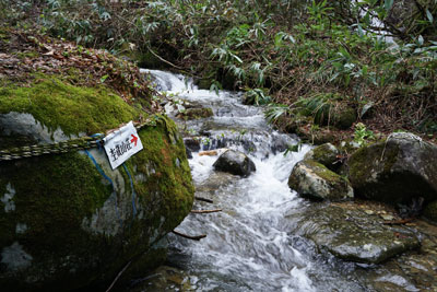 DSC09121.jpg