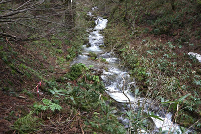 DSC09118.jpg