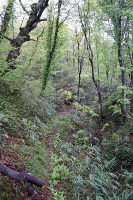 DSC09096.jpg
