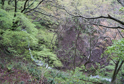 DSC09086.jpg