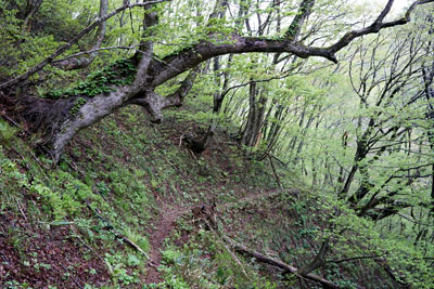 DSC09085.jpg