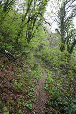 DSC09076.jpg