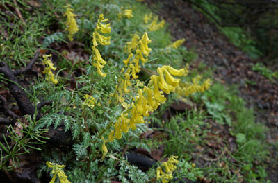 DSC09071.jpg