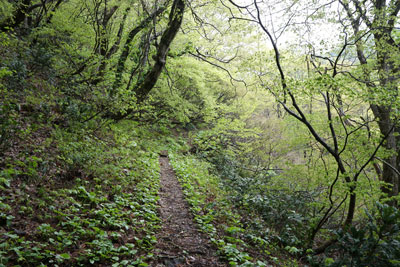 DSC09068.jpg