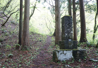DSC09067.jpg