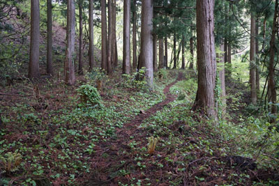 DSC09063.jpg